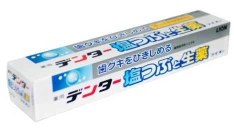 Зубная паста Lion Dental Medical Cool (с солью и растительными экстрактами, мята с травами)